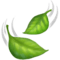 🍃